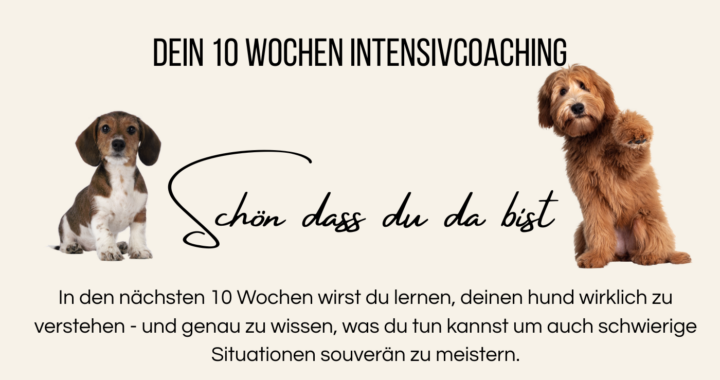 Einfach. Hund.